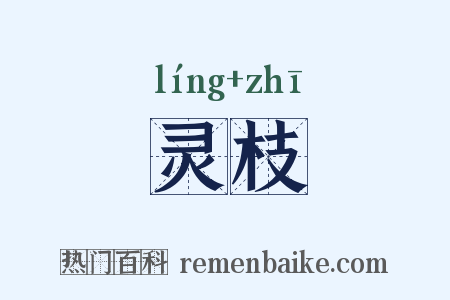 灵枝是什么意思的图片